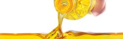 Indian Edible Oil Imports 'Excessive'?