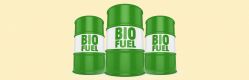 US Biodiesel Industry Files Petition