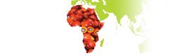 Palm Oil for Sub-Saharan Africa