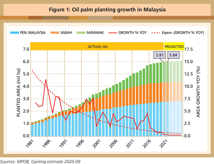 Palm share oil price sarawak Sarawak Oil