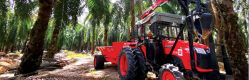 Malaysia: Driving Palm Oil Sustainability